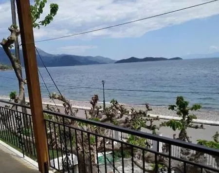 Exotic House Next To The