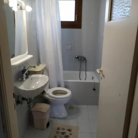 Exotic House Next To The Apartamento *